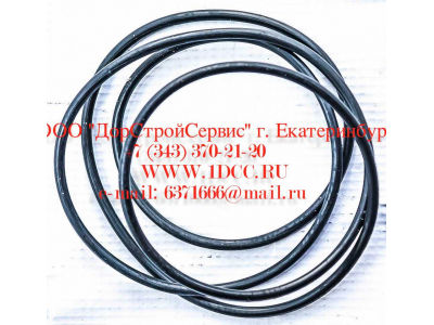 Кольцо уплотнительное ø338х3.55 гидромуфты ГТР CDM 833 Lonking CDM (СДМ) ø338х3.55 фото 1 Иркутск