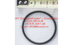 Кольцо уплотнительное ø346х3.5 гидромуфты ГТР CDM 855, 843 фото Иркутск