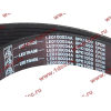Ремень 8PK1050 водяного насоса ручейковый H3 HOWO (ХОВО) VG2600020253 фото 2 Иркутск