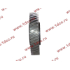 Шестерня привода распредвала промежуточная WD615/WP10 HOWO (ХОВО) VG1560050053/61560050053 фото 3 Иркутск