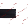 Ремень 8PK1725 DF/C CREATEK CREATEK C3911620/CK8041 фото 3 Иркутск